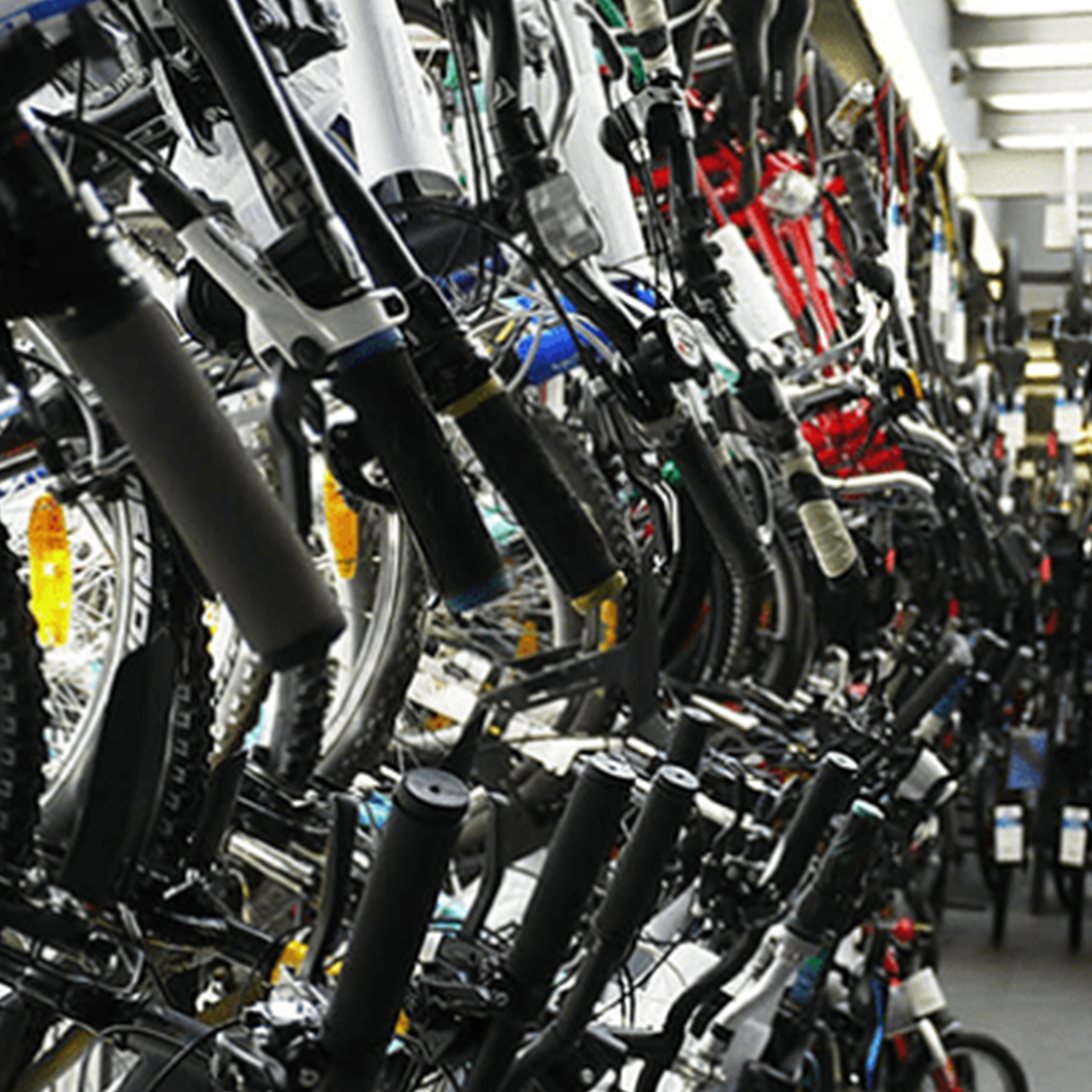 Rangée de vélos suspendus par le guidon dans un magasin de cycles.