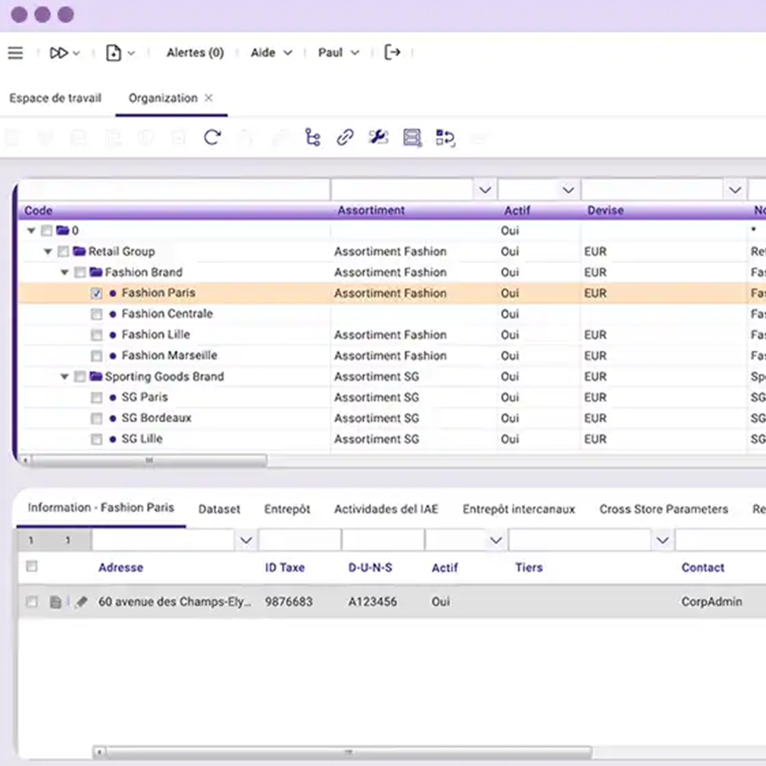 Capture d'écran d'un logiciel de gestion avec une hiérarchie de marques de mode et articles sportifs.