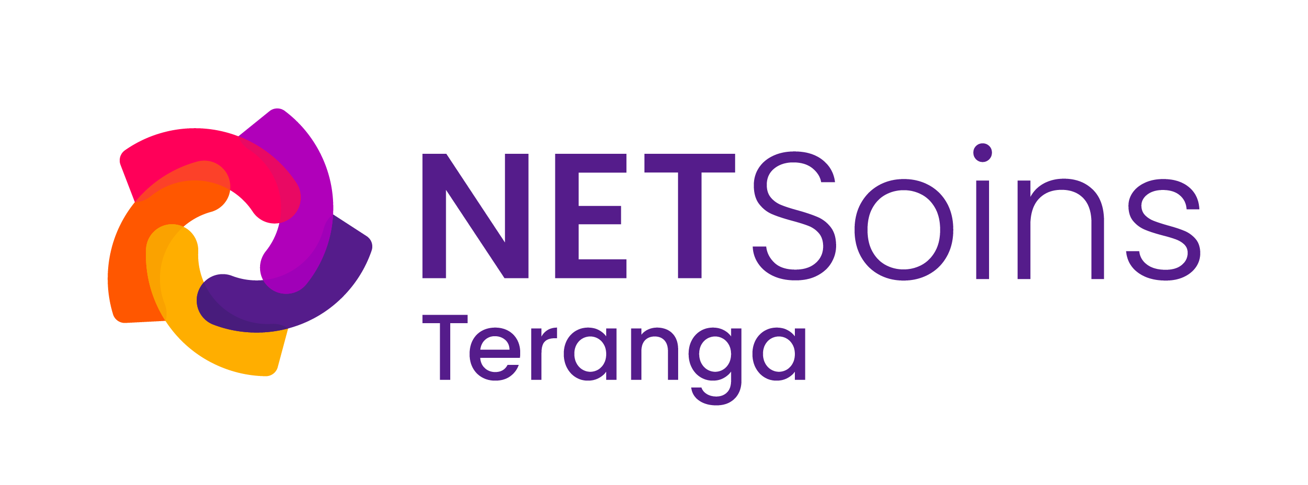 Logo coloré représentant des formes abstraites imbriquées en violet, rose, orange et jaune à gauche, avec le texte NETSoins Teranga en lettres violettes à droite.