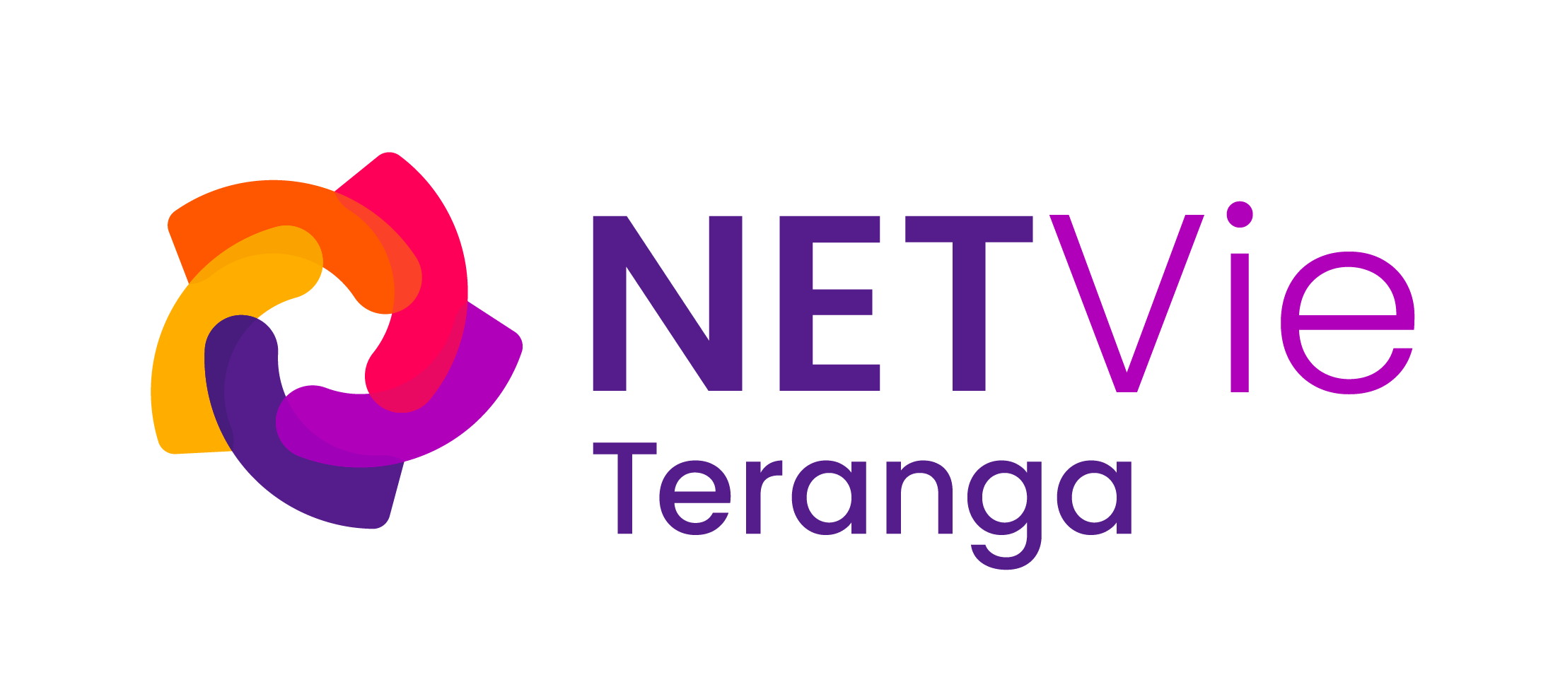Logo coloré avec plusieurs formes arrondies imbriquées en dégradé de violet, orange et rose à gauche, texte NETVie en violet et rose à droite, avec le mot Teranga en dessous en violet.