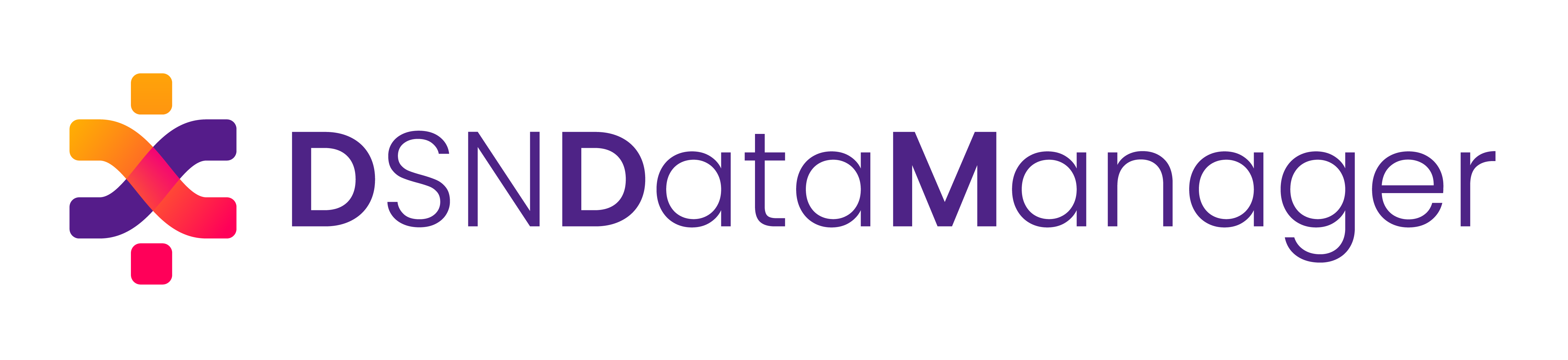 Logo DSNDataManager avec un symbole coloré orange, rose et violet à gauche et le texte en violet à droite.
