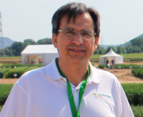 Fernando Bagüés
